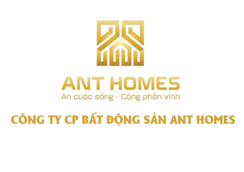 ANT Homes - “Làn gió mới” tại thị trường bất động sản miền Trung