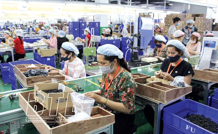 Thái Thuỵ Điểm sáng trong phát triển kinh tế của Thái Bình