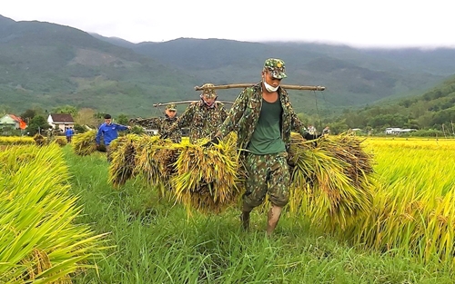 Quân đội giúp dân thu hoạch lúa bị thiệt hại do thiên tai