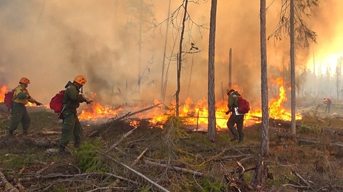 Nga ghi nhận 4000 vụ cháy rừng kể từ đầu năm đến nay