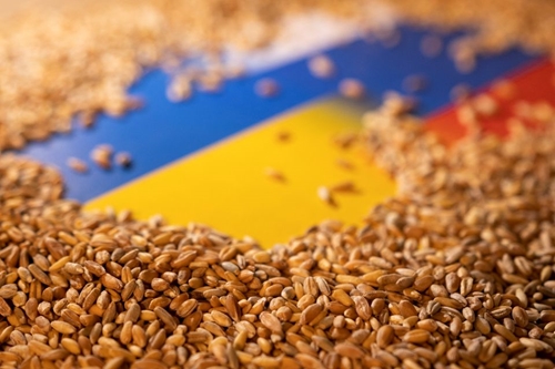 EU giúp Ukraine xuất khẩu ngũ cốc