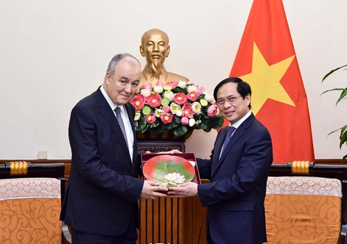Làm sâu sắc hơn nữa quan hệ hợp tác tốt đẹp Việt Nam - Algeria