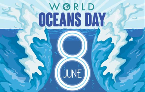 Ngày Đại dương thế giới 8 6 Tầm quan trọng và thực trạng của đại dương