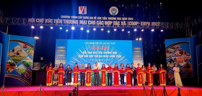 Hội chợ Coop expo@4x 100