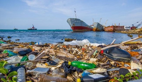 Tăng cường thu gom, tái chế rác thải nhựa nhằm thúc đẩy nền kinh tế tuần hoàn tại Việt Nam