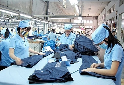 Hơn 343 000 lao động TP Hồ Chí Minh được BHXH hỗ trợ tiền thuê nhà