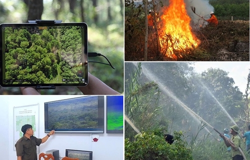 Ứng dụng công nghệ trong quản lý, bảo vệ và phòng cháy, chữa cháy rừng