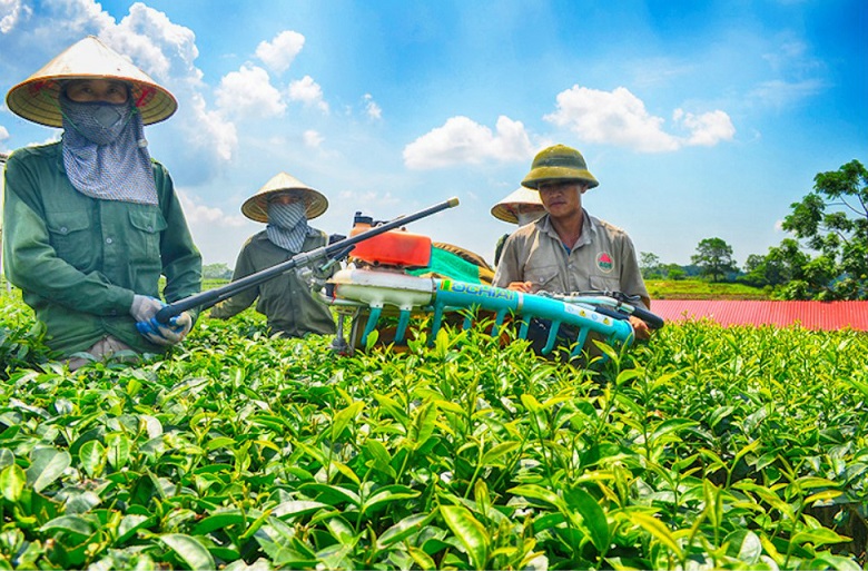 Tiềm năng phát triển Kinh tế chia sẻ tại Việt Nam