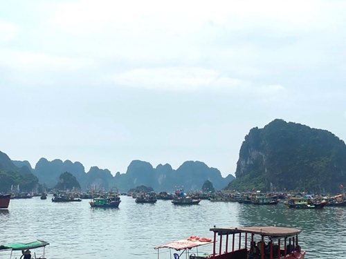 Quảng Ninh tạm ngừng cấp phép tàu du lịch biển để phòng tránh bão số 2