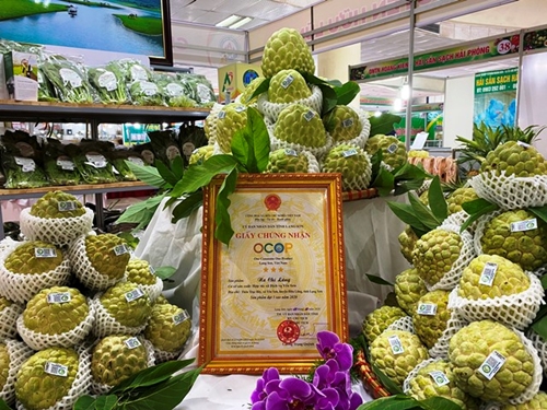 Khai mạc Phiên chợ nông, đặc sản vùng miền cùng Tuần lễ quảng bá na Lạng Sơn 2022