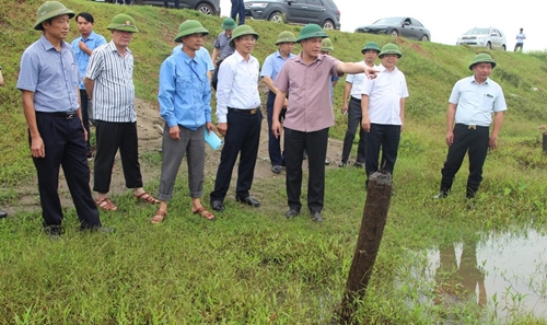 Chủ tịch UBND tỉnh Hải Dương Thực hiện nghiêm công tác bảo vệ khu vực đê trọng yếu