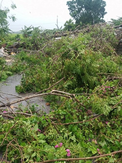 Bão số 3 gây thiệt hại tại Quảng Ninh