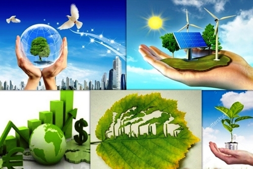 Ban hành Quy chế hoạt động của Ban Chỉ đạo quốc gia về tăng trưởng xanh