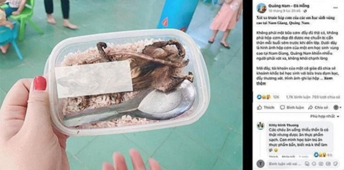 Sự thật hộp cơm thịt chuột của học sinh mầm non ở Quảng Nam