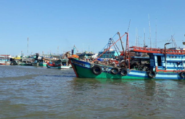 Cà Mau Xử lý nghiêm tàu cá vi phạm quy định khai thác thủy sản