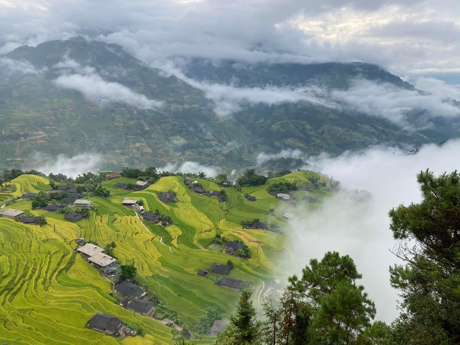 6 địa điểm ngắm ruộng bậc thang đẹp mê hồn tại Việt Nam