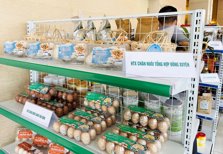 Hình ảnh: Thái Bình đẩy mạnh ứng dụng thương mại điện tử trong phân phối sản phẩm nông nghiệp số 1