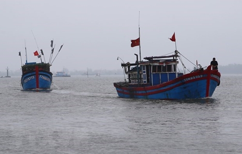 Các tỉnh, thành phố từ Quảng Ninh đến Bình Thuận chủ động ứng phó với bão và mưa lớn