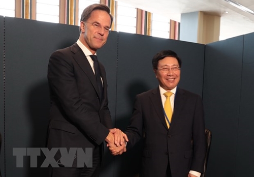 Việt Nam tăng cường hợp tác với Hà Lan và các nước châu Phi