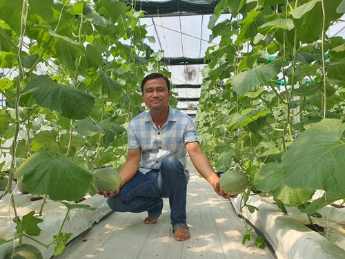 Ứng dụng công nghệ cao trong sản xuất nông nghiệp tại Cần Giuộc