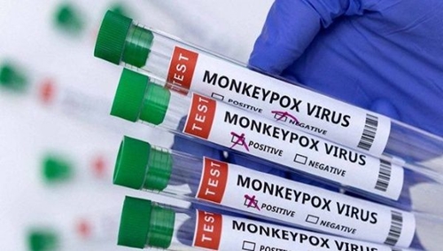 Châu Phi ghi nhận gần 6 900 ca mắc bệnh đậu mùa khỉ