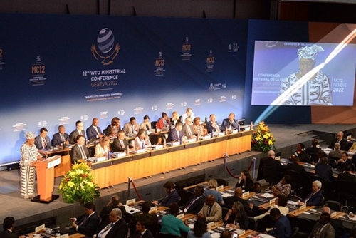 Hội nghị Bộ trưởng WTO lần thứ 12 Cam kết cải tổ Hệ thống giải quyết tranh chấp