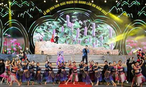 Khai mạc Lễ hội hoa tam giác mạch lần thứ VIII năm 2022