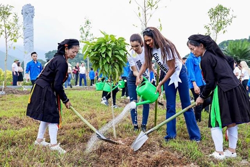 Các thí sinh Hoa hậu du lịch thế giới 2022 tham gia trồng cây tại Vĩnh Phúc