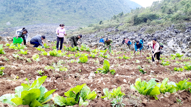 Xây dựng mô hình cải tạo vườn tạp phát triển kinh tế vườn hộ góp phần  chung tay xây dựng Nông thôn mới