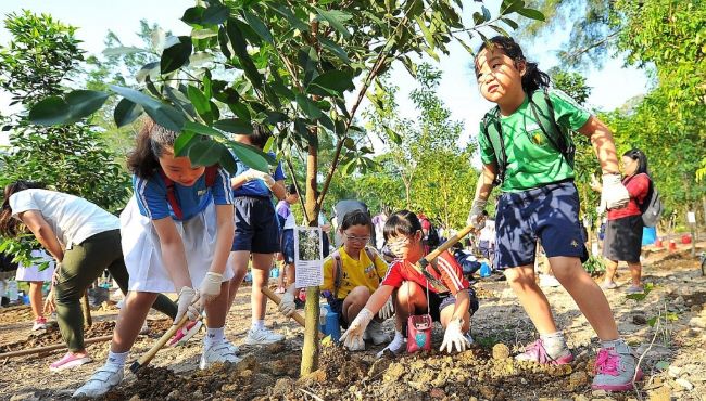 Các Biện Pháp Để Bảo Vệ Môi Trường: Những Hành Động Thiết Thực