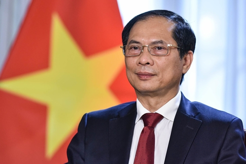 Ngoại giao Việt Nam năm 2022 Phát huy mạnh mẽ bản sắc “Cây tre Việt Nam”