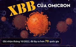 Thông tin về biến thể phụ XBB của Omicron