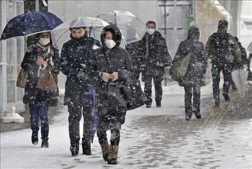 Tuyết rơi dày tại Nhật Bản gây gián đoạn giao thông trên diện rộng