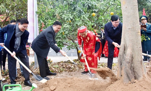 Bí thư Thành ủy Hà Nội Đinh Tiến Dũng tham dự Tết trồng cây