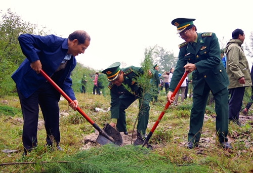 Bộ đội Biên phòng Thừa Thiên Huế trồng hơn 3 000 cây phi lao dịp Tết trồng cây