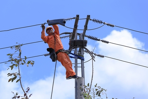 Điện lực miền Nam Dòng điện “chạy” an toàn, đầy đủ trong dịp Tết