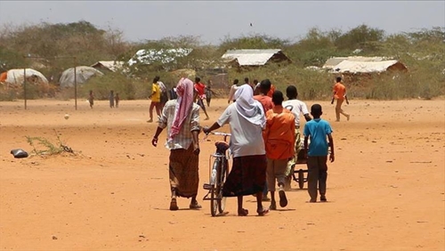 UNHCR kêu gọi 556 triệu USD để hỗ trợ người tị nạn ở Sudan