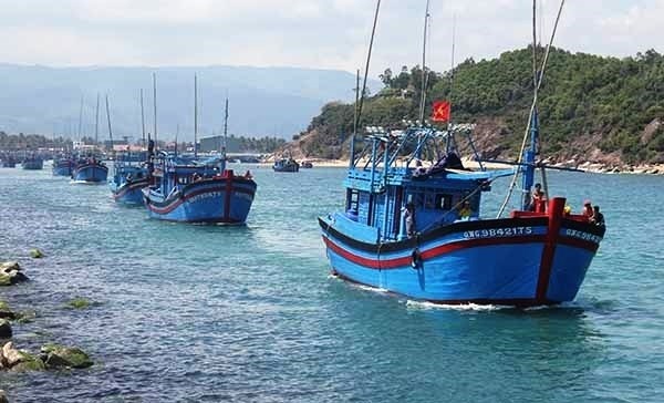 Tập trung nguồn lực gỡ thẻ vàng cho thủy sản Việt Nam
