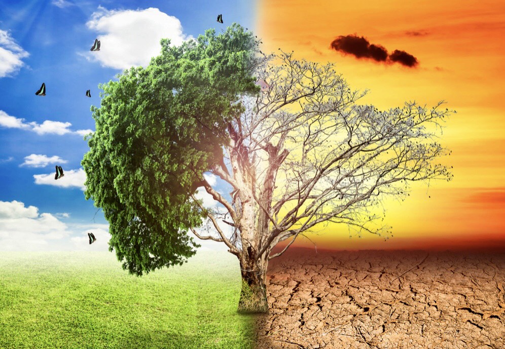 Bảo vệ môi trường nông thôn, nâng cao khả năng thích ứng với biến đổi khí  hậu