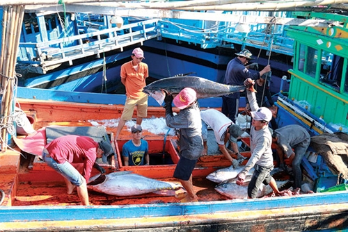 Chuyển đổi một số nghề khai thác hải sản ảnh hưởng đến nguồn lợi và môi trường sinh thái