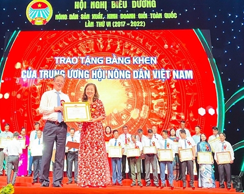 Hành trình đưa thương hiệu hươu sao Hương Sơn vươn xa của nữ “Nông dân Việt Nam xuất sắc”