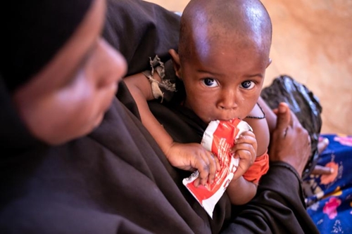 Năm 2022 Khoảng 43 000 người tử vong do hạn hán ở Somalia