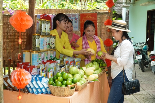 Nâng tầm vị thế phát triển du lịch nông nghiệp tỉnh Đồng Tháp