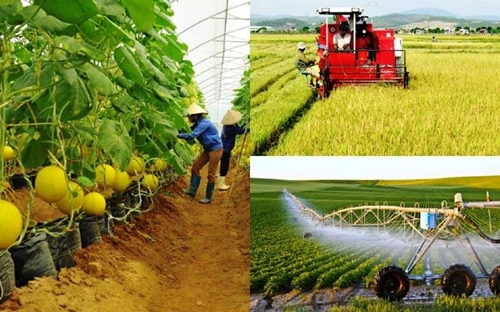 Để các hợp tác xã nông nghiệp phát triển