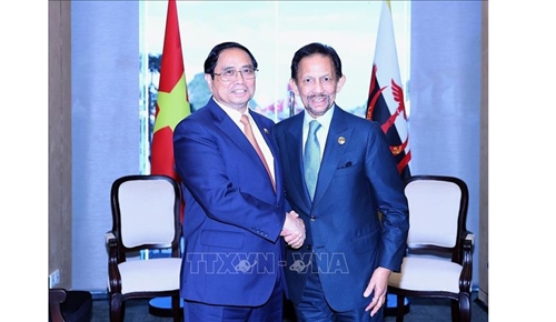 Thúc đẩy quan hệ hợp tác Việt Nam - Brunei