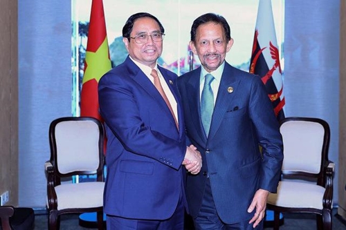Triển khai quan hệ Đối tác toàn diện Việt Nam - Brunei