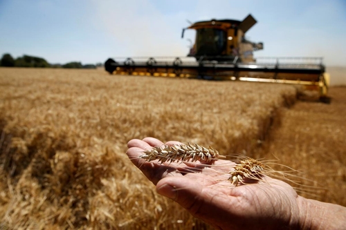 Ukraine dỡ bỏ rào cản đối với xuất khẩu một số sản phẩm nông nghiệp