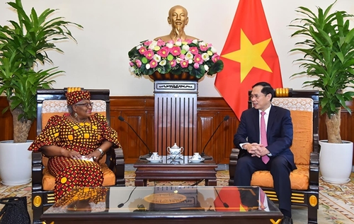 Tăng cường quan hệ hợp tác Việt Nam - WTO