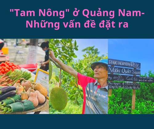 Bài 4 Cần nhân rộng những “Điểm sáng” trong kinh tế Nông thôn mới ở Quảng Nam