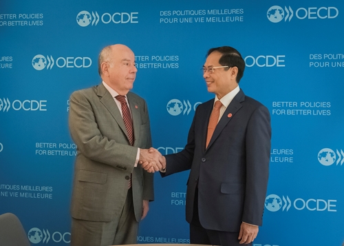 Bộ trưởng Ngoại giao Bùi Thanh Sơn gặp bên lề Hội nghị Bộ trưởng Hội đồng OECD